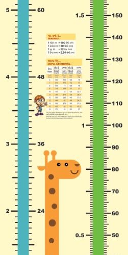Height Measurement Chart -  Panel (2' x 6'3'')