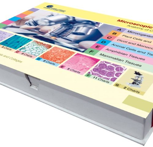 Microscopic Structures (Set of 52 charts)