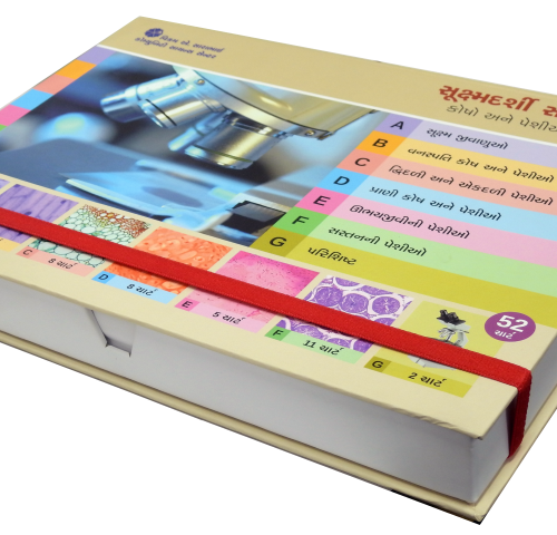 Shukshmadarshi Sanrachnao (Set of 52 charts) - Gujarati