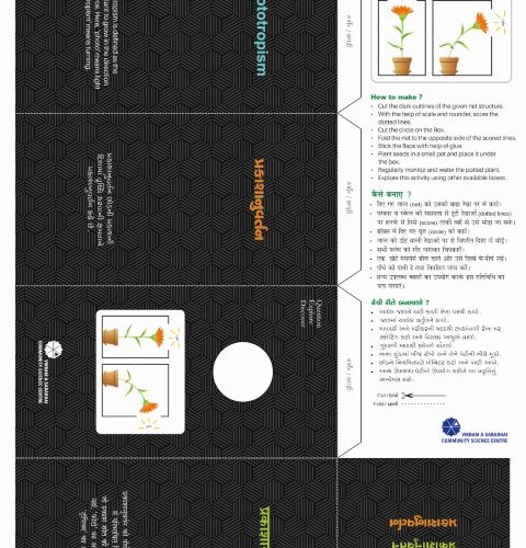 Learn Phototropism (50 Nos.)