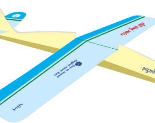 Make a Straight Wing Glider (50 Nos.)