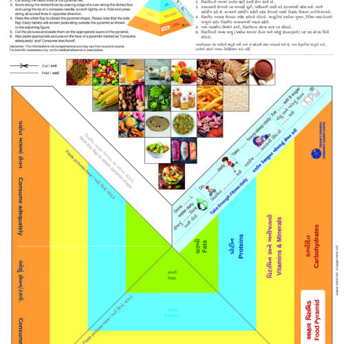 Make a Food Pyramid (50 Nos.)