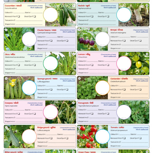Seed Identification (50 Nos.)